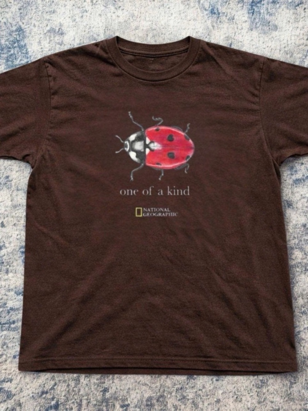 Dark Chocolate Short-Sleeve Tee with Red Ladybug Graphic